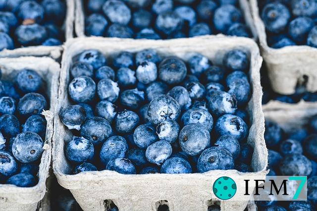 sueño de arándanos