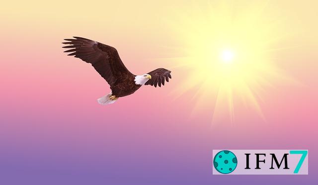 significado de soñar con aguila