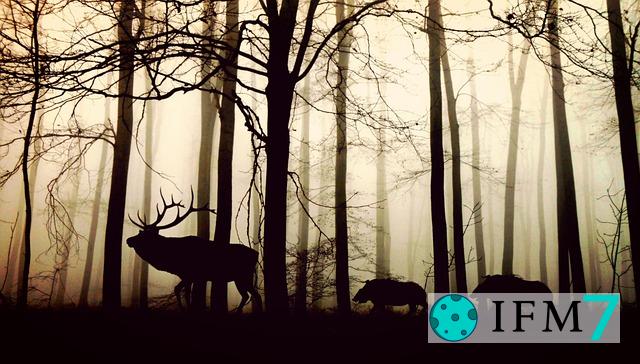 soñar con animales salvajes en mi casa