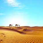 significado de soñar con camello