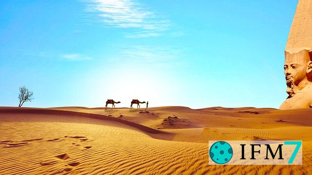 significado de soñar con camello