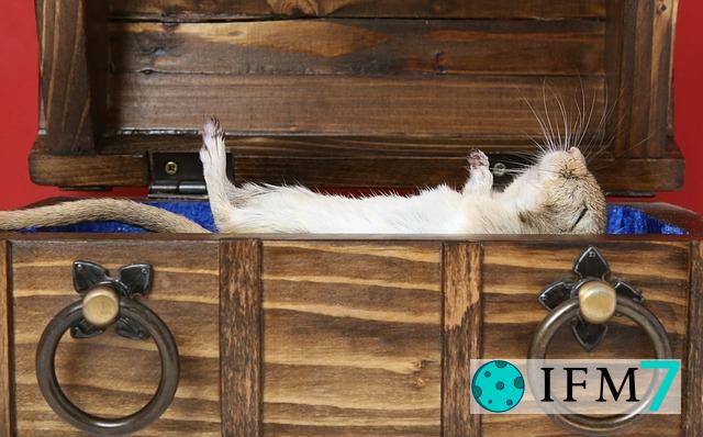 significado de soñar con tumba ataud