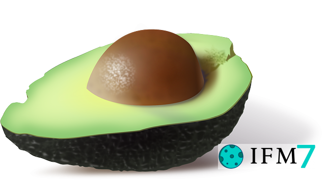 sueño de aguacate