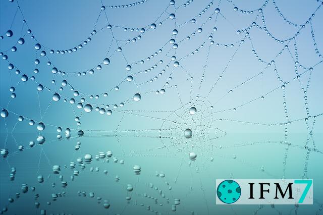 sueño con red de araña