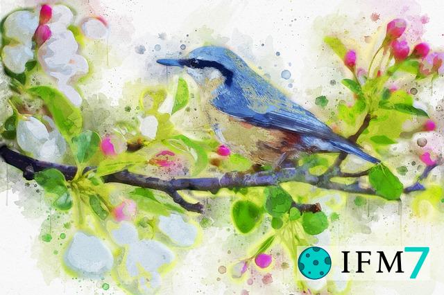 significado de soñar con ave