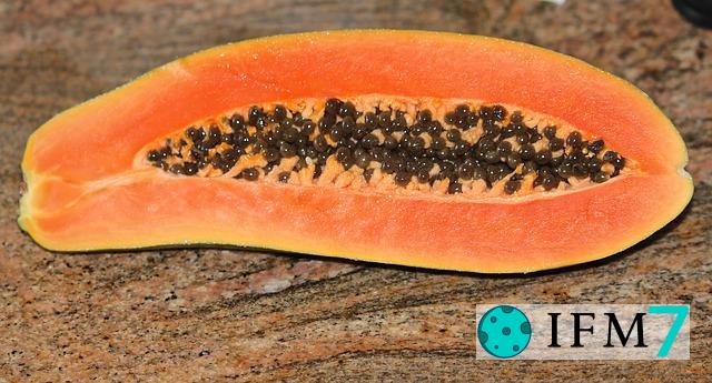 sueño de papaya